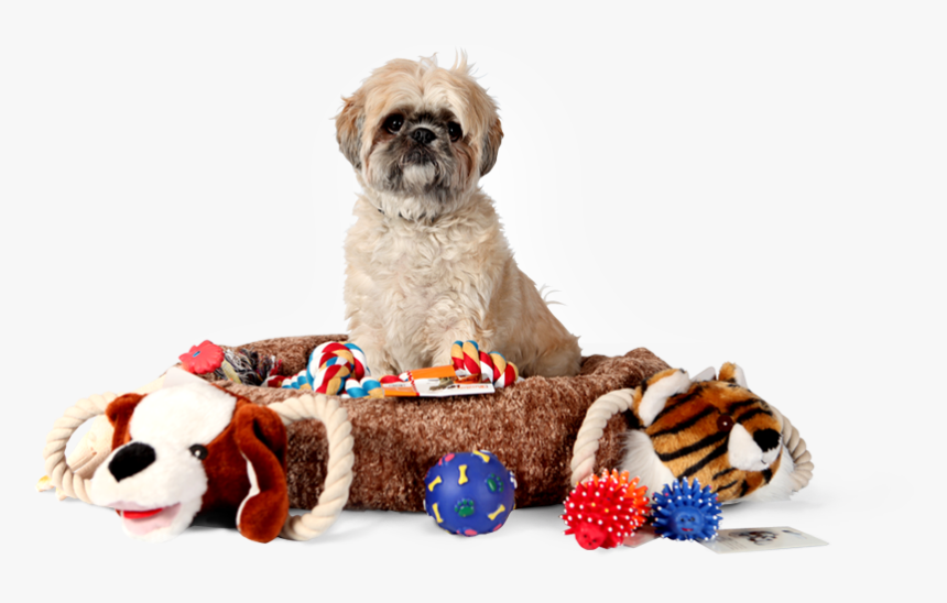 Image: Pet Supplies